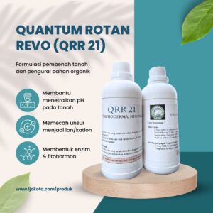 QRR21